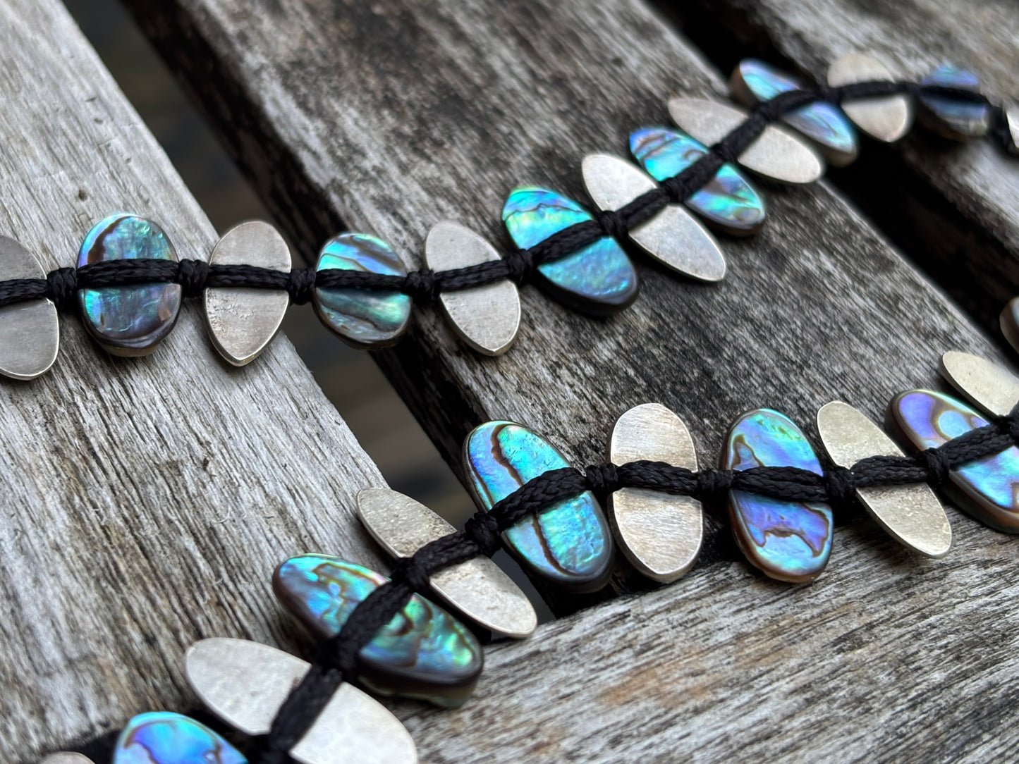 Abalone