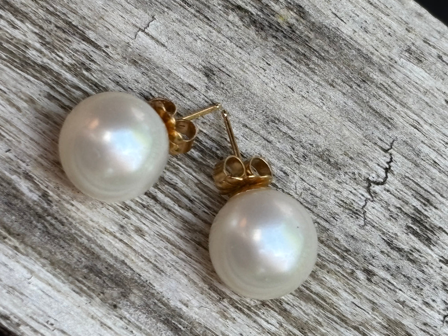 14 karat south sea pearl studs