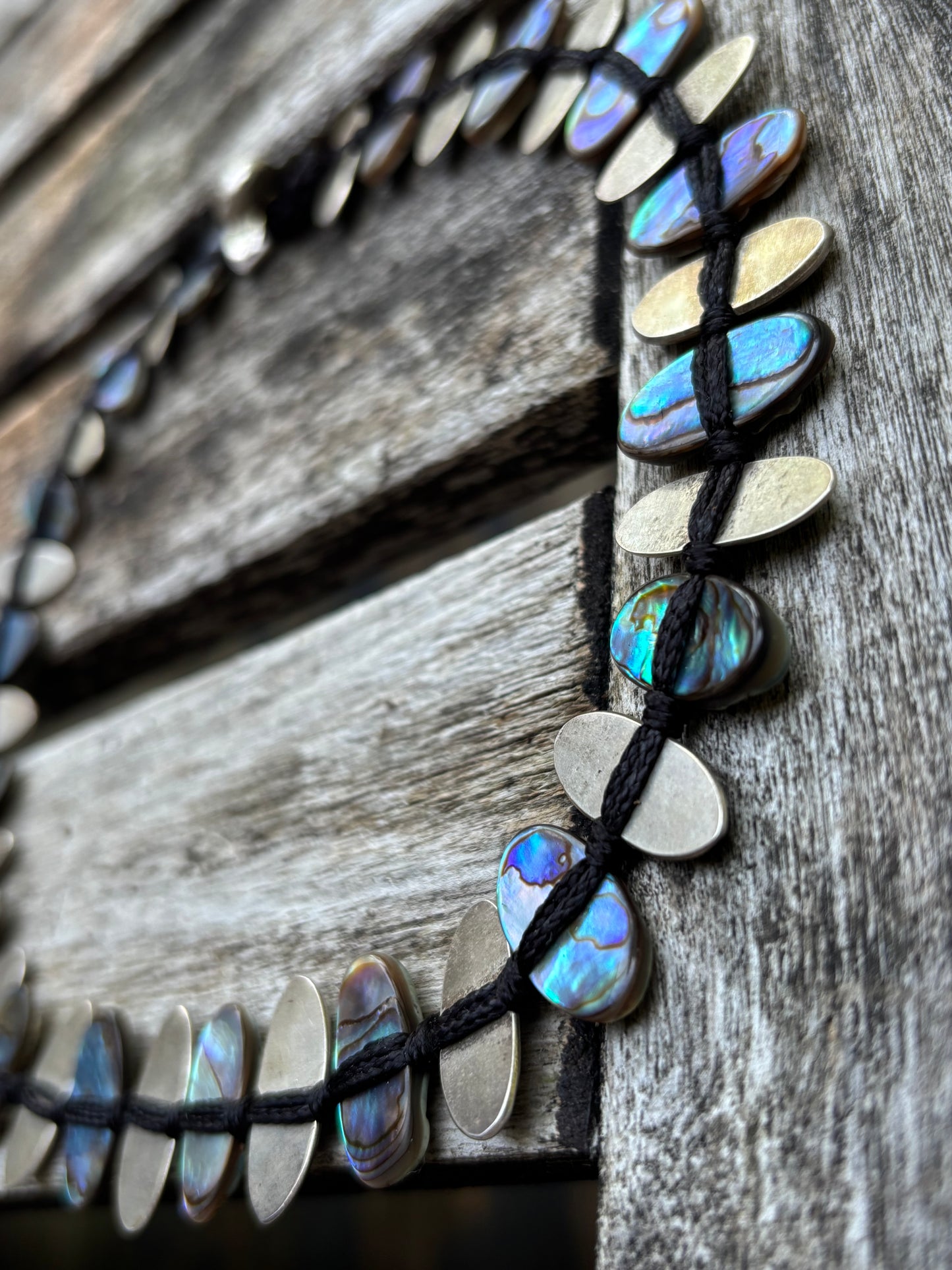 Abalone