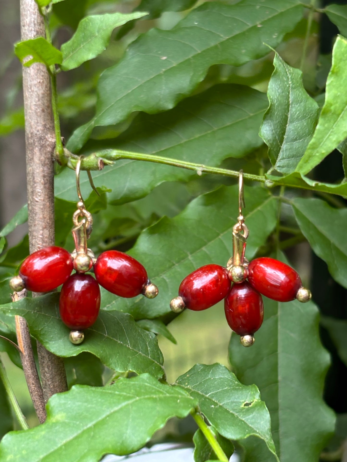 14 karat gold, Victorian Circassian seeds on 14 kt solid gold handmade ear-wires
French circa 1860
we took off the screw backs and turned them in into drops these drops are over 160 years old🤩