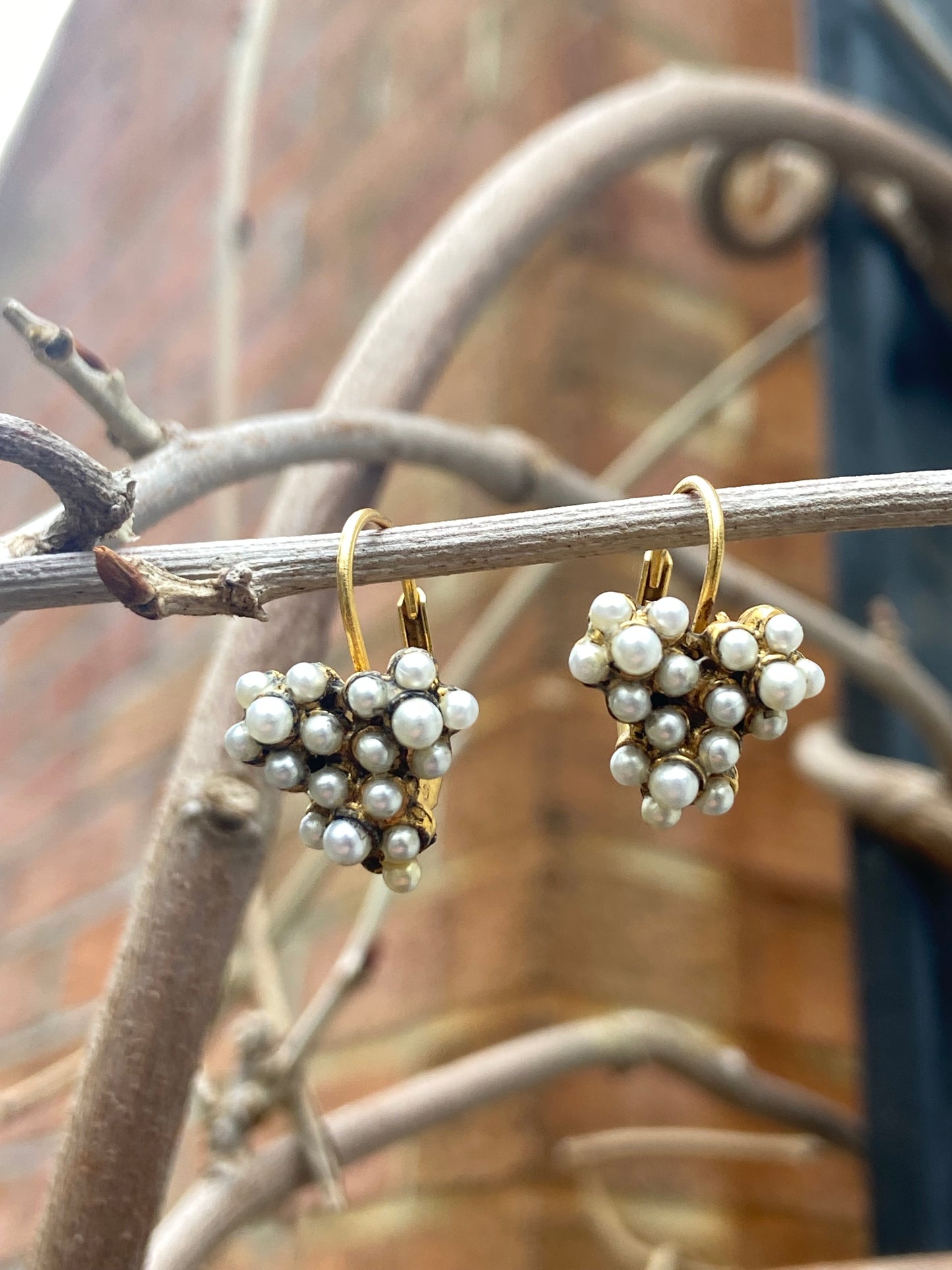 Heart shaped grapes