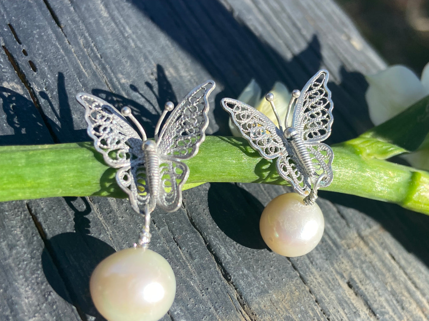 Bridal butterflies