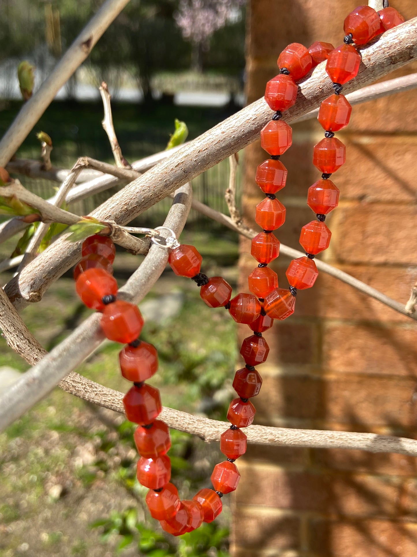 Double pointed carnelian