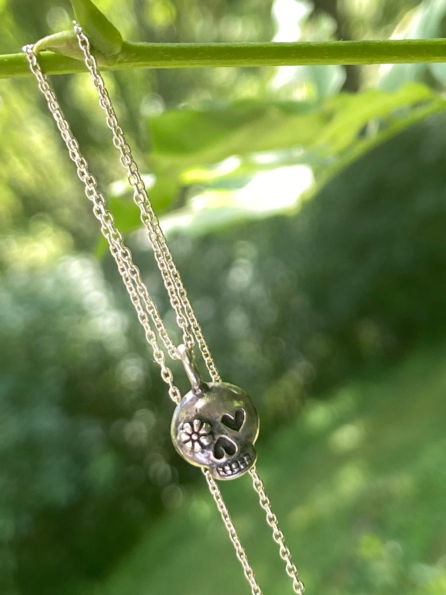 Silver skull